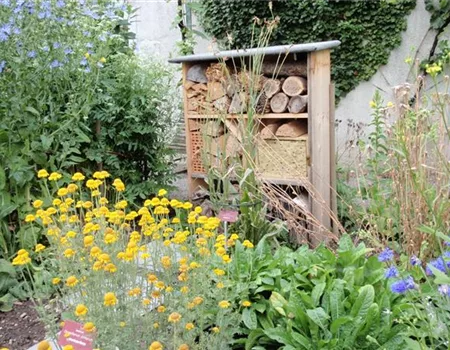 Das geeignete Winterquartier!