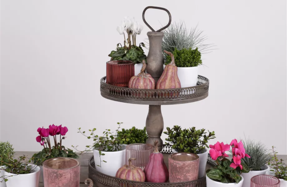 DIY-Tipp des Monats Oktober 2020