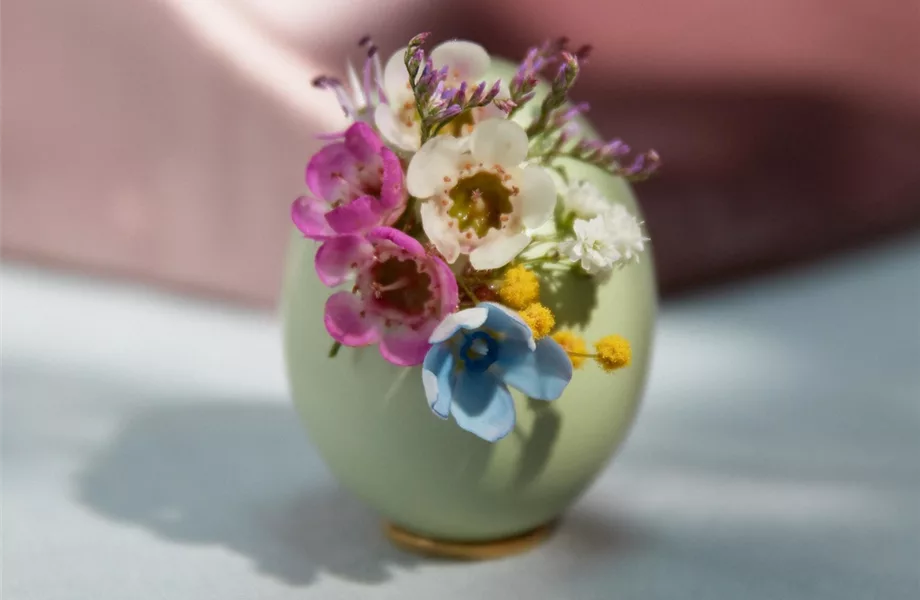 DIY-Tipp des Monats März