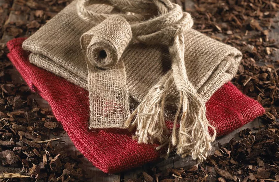 Winterschutz für Kübelpflanzen