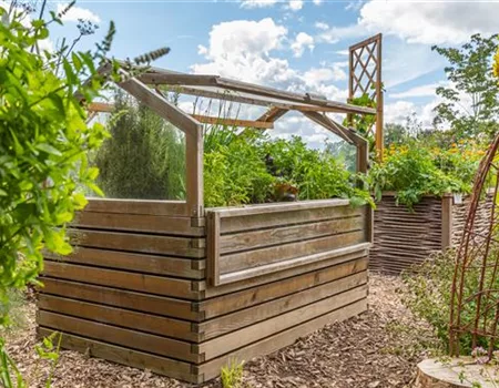 Home, sweet Hochbeet