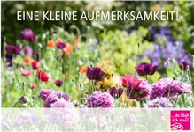 Online-Gutschein