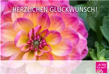 Online-Gutschein