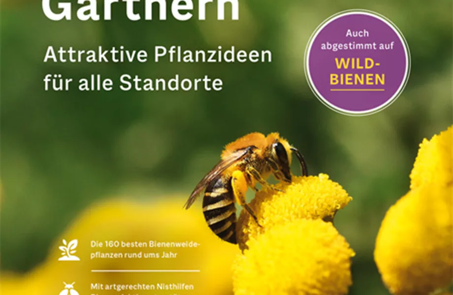 Buch des Monats Mai