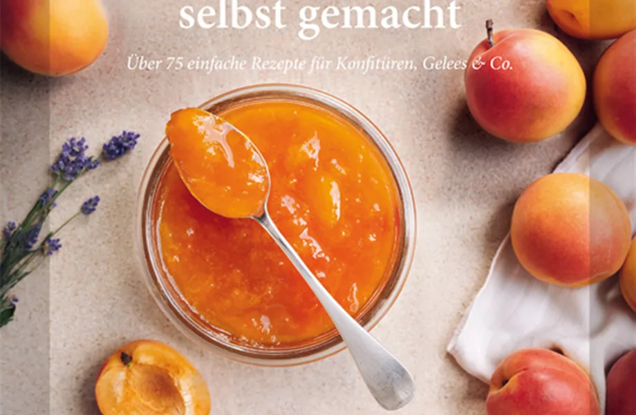 Buch des Monats Juni