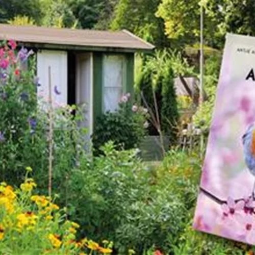 Buch des Monats Dezember