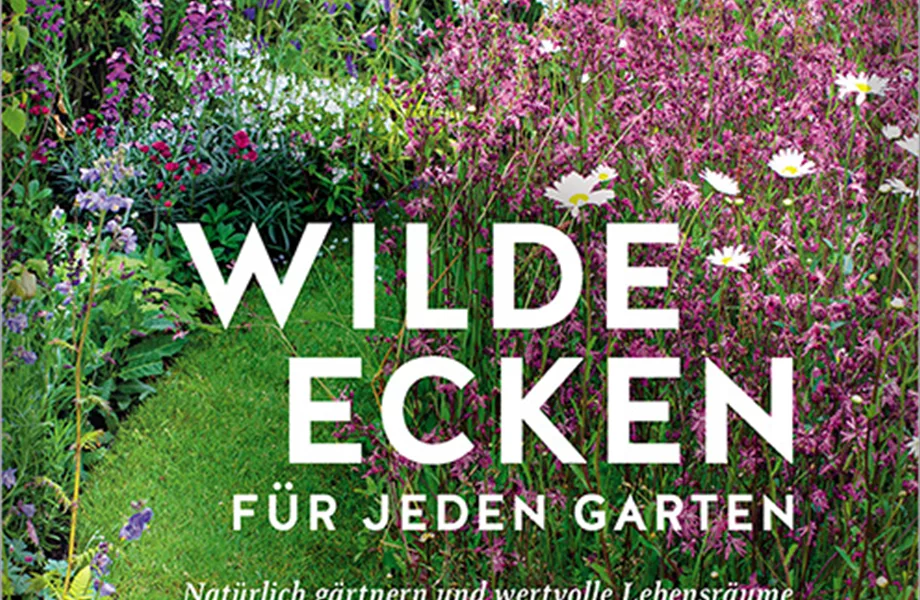 Buch des Monats Mai 2024
