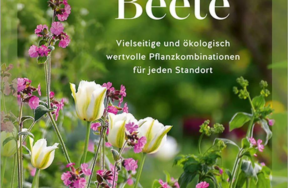 Buch des Monats Juni 2024