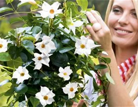 Gartenkalender Mai 2026