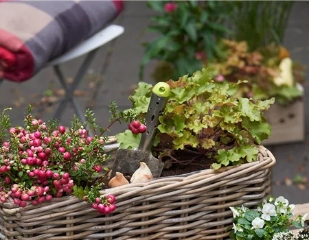 Gartenkalender Oktober 2025