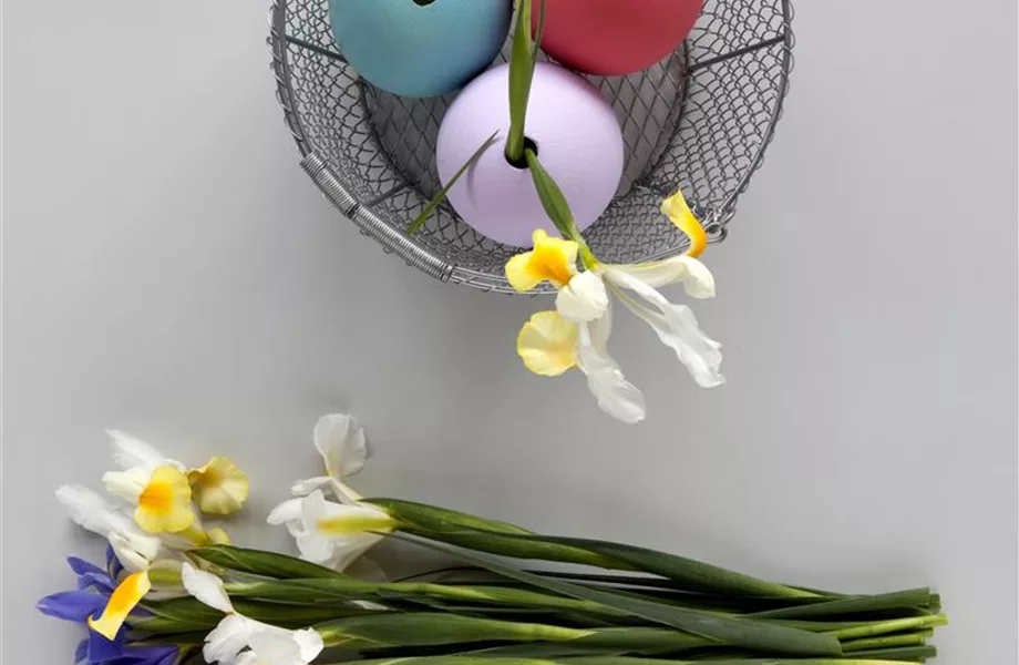 DIY-Tipp des Monats April 2020