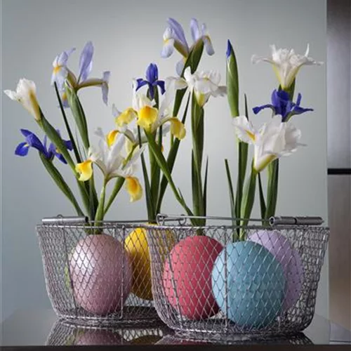 DIY-Tipp des Monats April 2019