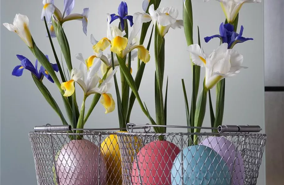 DIY-Tipp des Monats April 2020